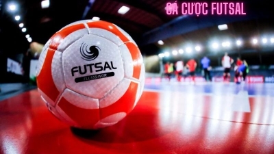 Cá cược futsal - Kiếm lợi nhuận từ môn bóng đá trong nhà